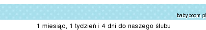 Suwaczek z babyboom.pl" border="0