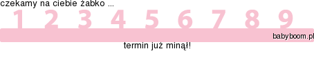 Suwaczek z babyboom.pl" border="0