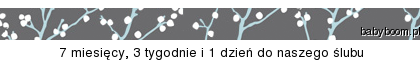 Suwaczek z babyboom.pl" border="0