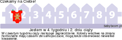 3jgxhqvk4q0xpr0s.png