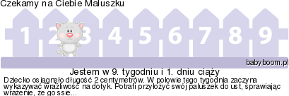 3jgxugpjb2bo9ky3.png