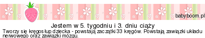 eiktgov3jy90uca7.png