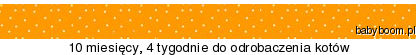 https://www.suwaczki.com/tickers/eoc96bq51dj4wetr.png