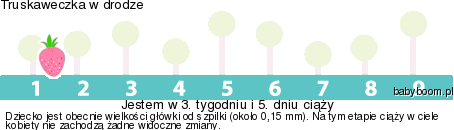 oar8gov3wah9mmpr.png